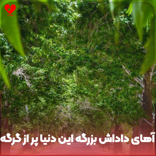دانلود اهنگ آهای داداش بزرگه این دنیا پر از گرگه